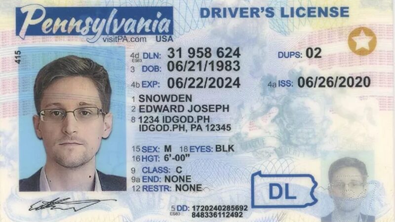 The Different Types of Fake IDs You Can Buy Online at idgod