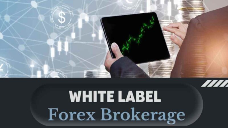 8 Steps To Building A Strong Forex Brokerage Using A White Label Solution