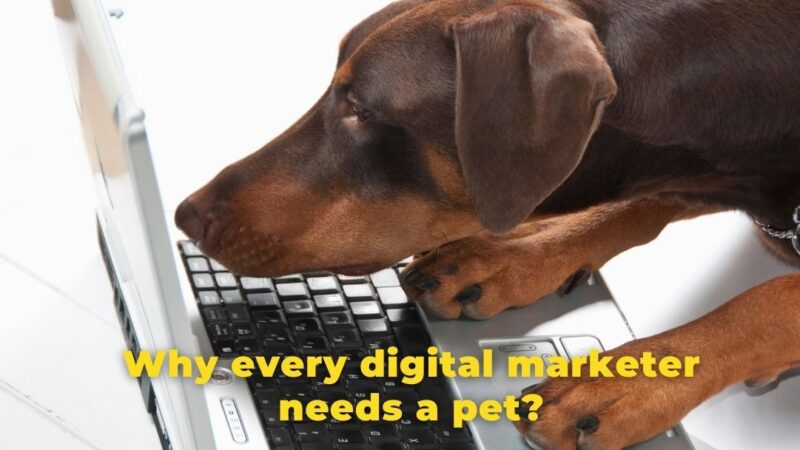 Why every digital marketer needs a pet?