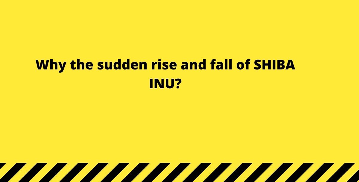 Why the sudden rise and fall of SHIBA INU?